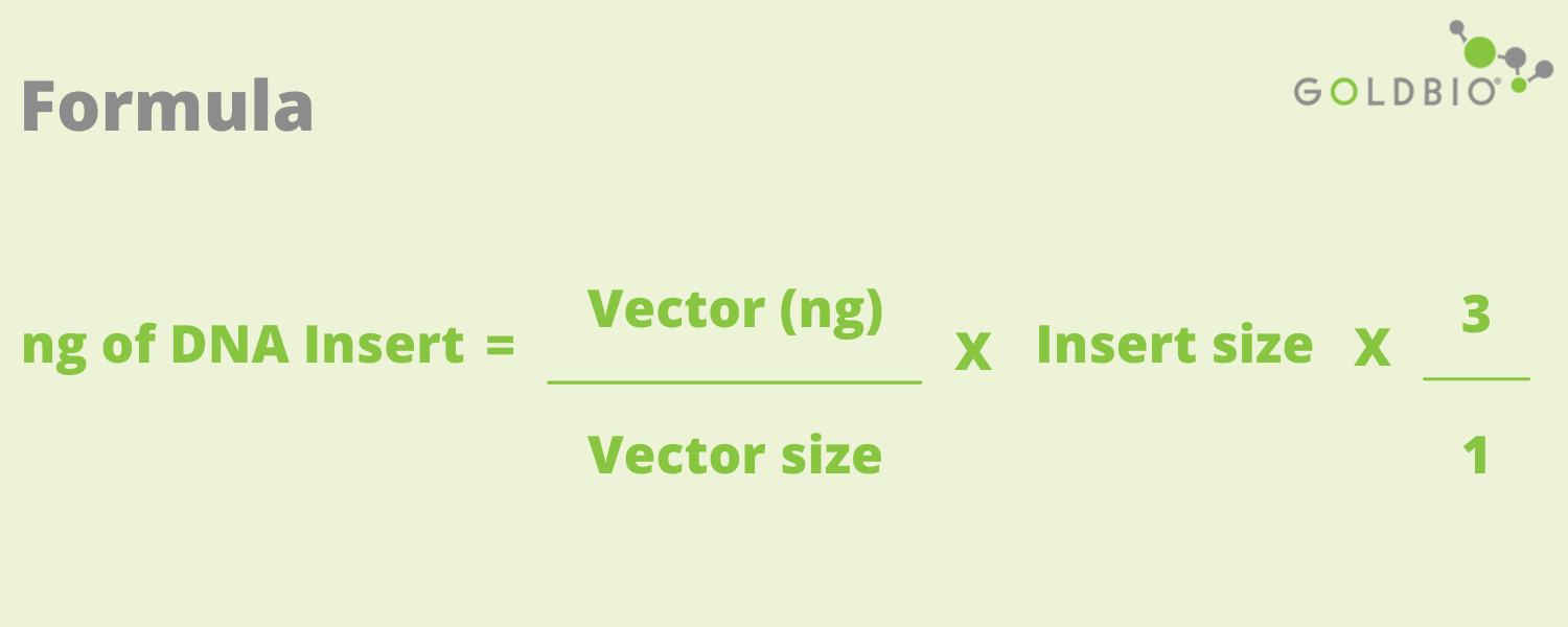 Overview of T4 DNA Ligase What it is, how it works, reactions, and